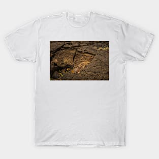 Volcanic rock 2 T-Shirt